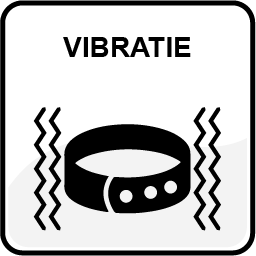 Vibratie