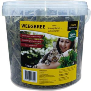 Utopia weegbree