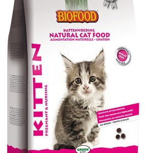 Bf petfood premium quality kat kitten pregnant / nursing