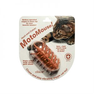 L'chic motomouse