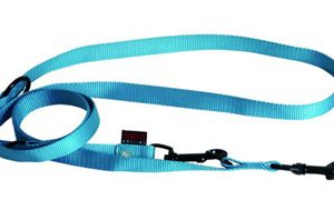 Martin hondenriem multipurpose nylon turquoise