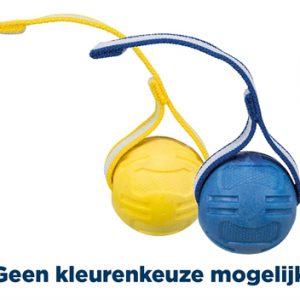 Trixie sportbal aan lint tpr drijvend assorti