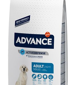 Advance maxi adult