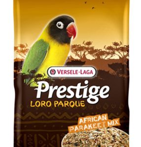 Prestige premium loro parque afrikaanse grote parkiet mix