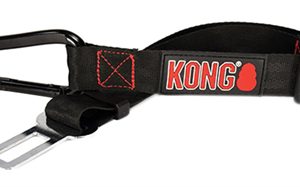 Kong autogordel