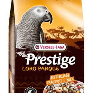 Prestige premium afrikaanse papegaai