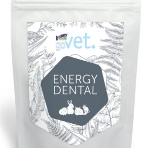 Bunny nature govet energy dental