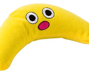 Petstages green magic boomerang buddy