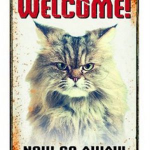 Plenty gifts waakbord blik grumpy cat