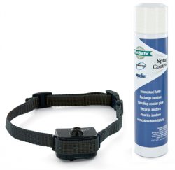 Stun Anoi vijand Anti blafband kopen? Bestel hier online! | My Petstore