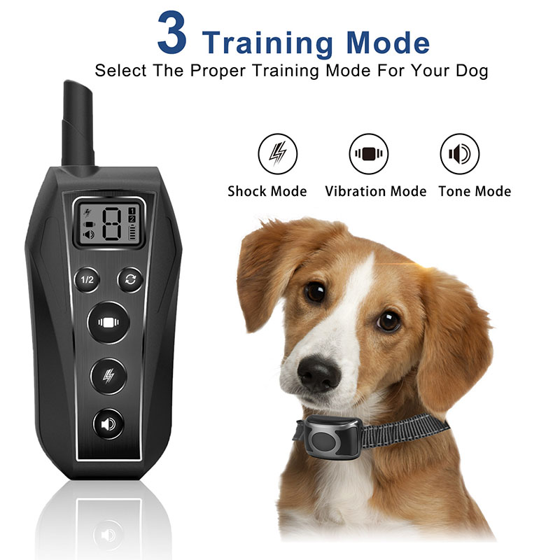 Dapper Onderhandelen onderpand Trainingsset met afstandsbediening BOB700 voor Middel- & Grote Honden  Watervast - Statische & Vibratie & Geluid - My Petstore