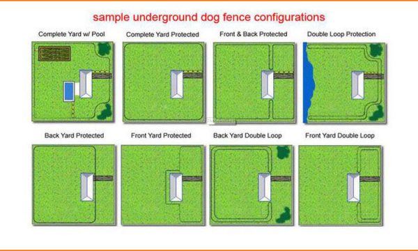 Draaien Verplaatsbaar Pompeii Onzichtbare omheining 300meter voor uw hond BOB16 - My Petstore