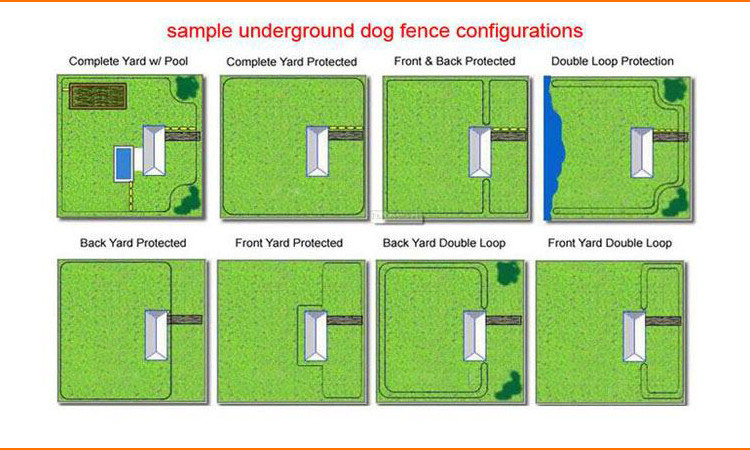 Europa Bacteriën Stimulans Onzichtbare omheining 300meter voor uw hond BOB16 - My Petstore