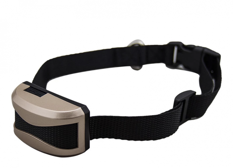 Online Dierenwinkel My Petstore Alles voor uw dier!