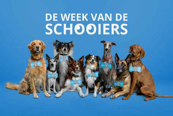 week van de schooiers