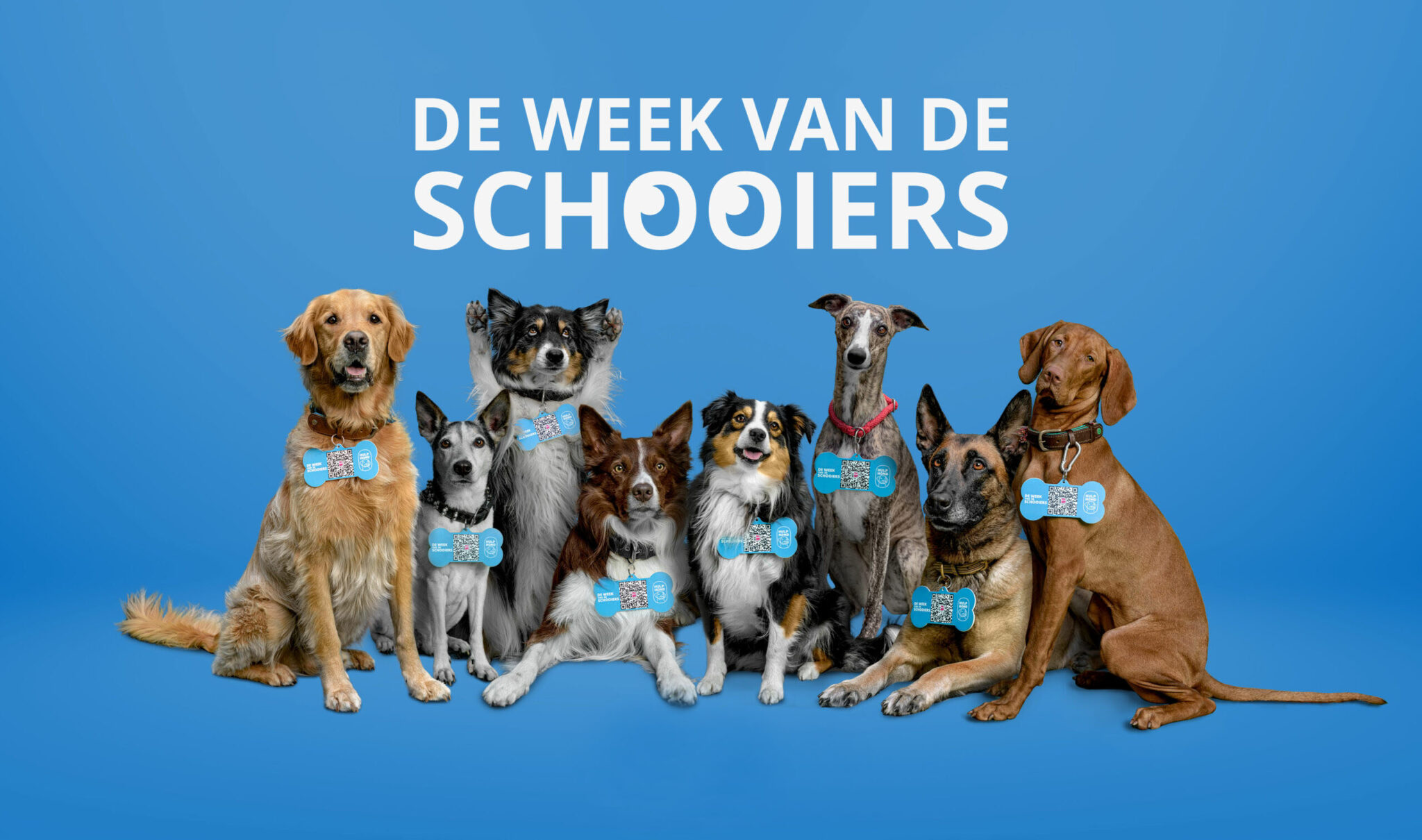 De Week Van De Schooiers! My Petstore