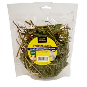 Utopia echinacea mix