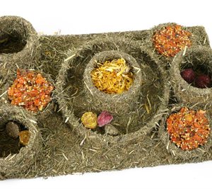 Rosewood naturals hide n treat maze