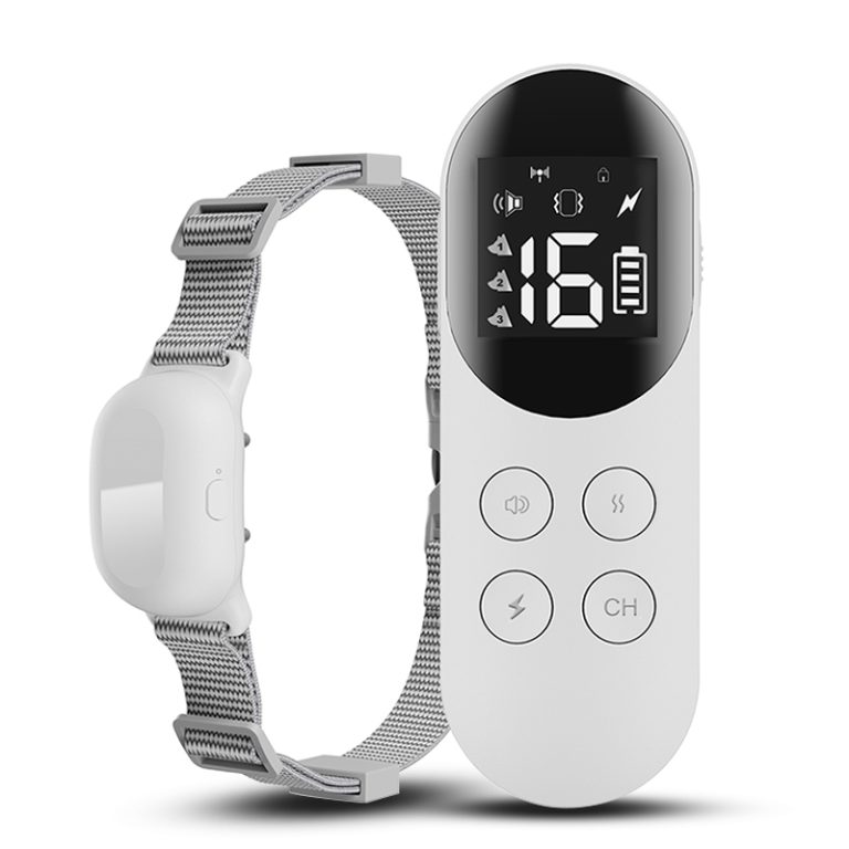 Online Dierenwinkel My Petstore Alles voor uw dier!