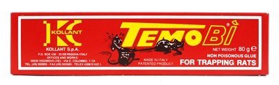 Temo Bi Rat Glue