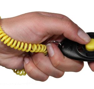 Starmark clicker de luxe voor training