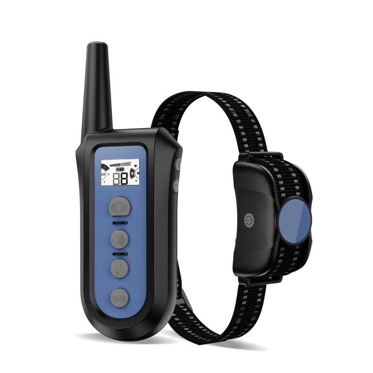 Trainingshalsband kopen voor uw hond? My Petstore