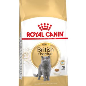 Royal canin british shorthair