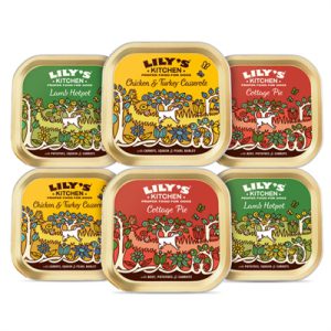 Lily's kitchen dog adult classic dinners tray multipack