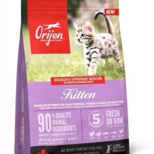 Orijen kitten