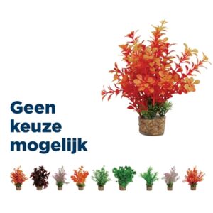 Zolux ornament pastic plant op stenen vrolijk assorti