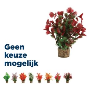 Zolux ornament pastic plant op stenen puntig assorti