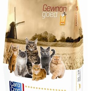 Carocroc kat vis