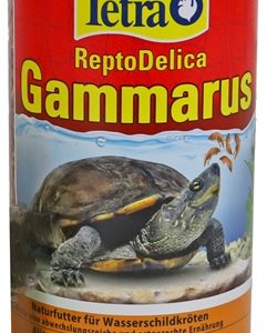 Tetra gammarus schildpadvoer