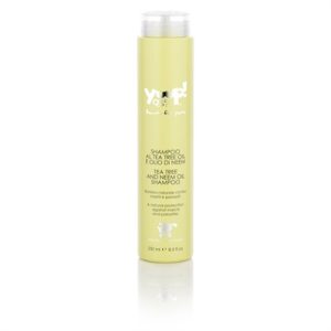 Yuup! tea tree and neem oil shampoo