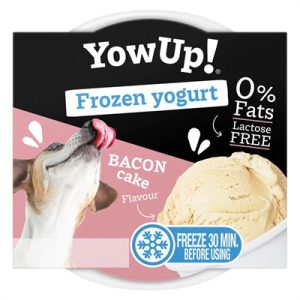 Yowup! frozen yoghurt bacon cake