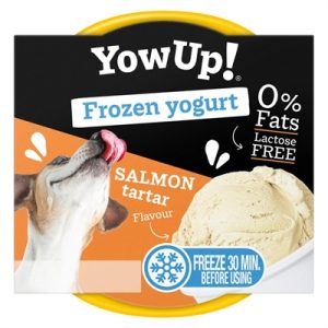 Yowup! frozen yoghurt salmon tartar