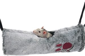 Snuggles 2 in 1 hangmat / tunnel knaagdier