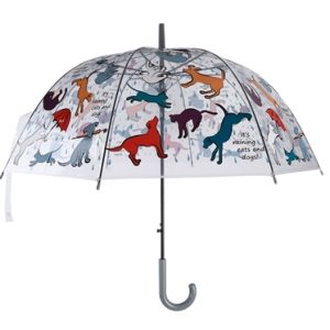 Paraplu cats and dogs transparant