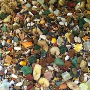 Hareco papegaai select zonder pellets