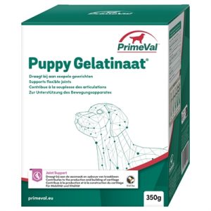Primeval gelatinaat puppy