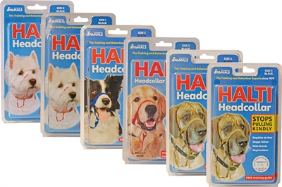 Company of animals halti headcollar zwart
